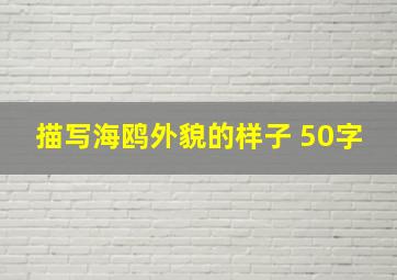 描写海鸥外貌的样子 50字